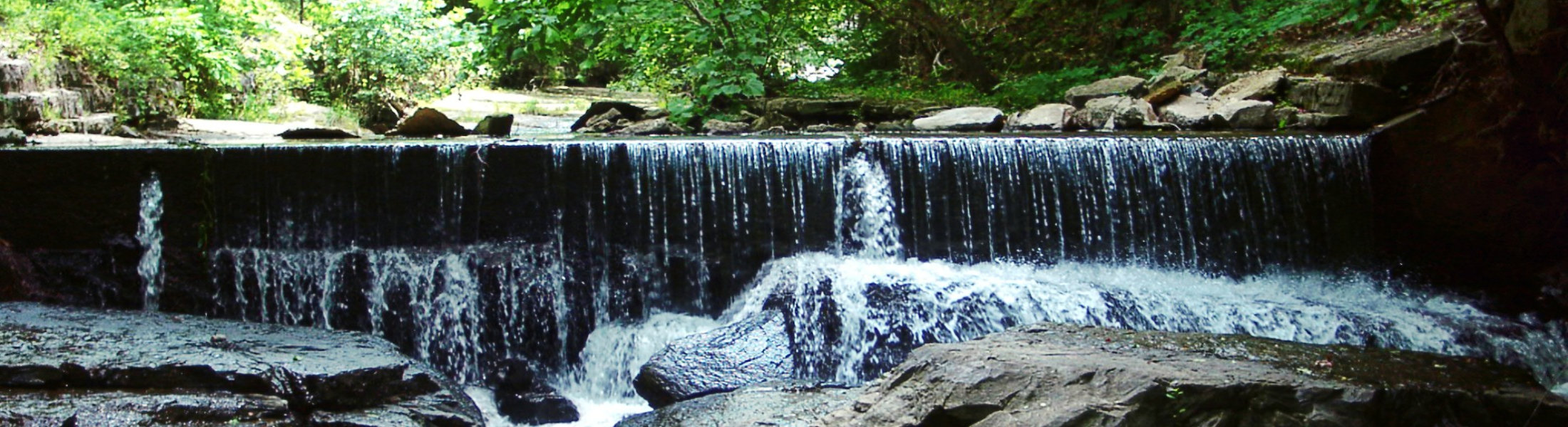 Will Hall Creek, Montgomery Bell State Park